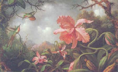 Martin Johnson Heade Hummingbirds and Two Varieties of Orchids France oil painting art